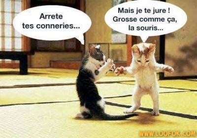 La souris !